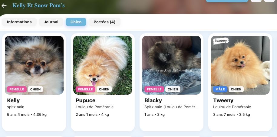 Exemple élevage Kelly Et Snow Pom’s